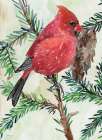 Cardinal and Branch Art Print