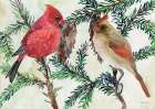Cardinals and Branches Art Print