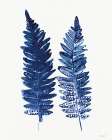 Nature in Indigo 1 Art Print by Stellar Design Studio