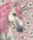 Pink Wishes Art Print