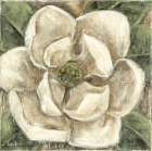 Southern Belle Art Print