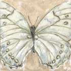 Showstopper Art Print