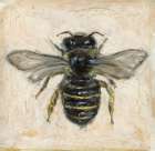 Honey Queen Minimalist Print