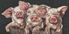 Pigs in a Row Art Print