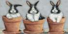 Bunny Pots Art Print