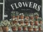 Little Flower Shop Art Print