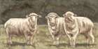 Pastoral Gathering Art Print