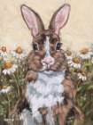 Whiskers and Wildflowers Art Print