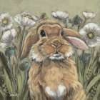 In the Poppy Fields Art Print