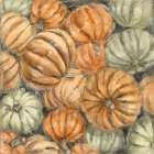 Patch Full of Pumpkins Art Print