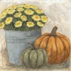 Flower Pot and Pumpkins I Art Print