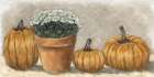 Flower Pot and Pumpkins II Art Print