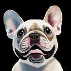 The Bulldog Art Print