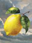 Lemon in the Sky Art Print by Seven Trees Design