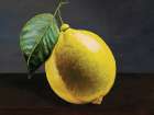 Citrus Solitude Art Print by Seven Trees Design
