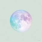 To the Moon Art Print by Seven Trees Design