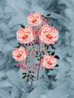 Velvet Petals Art Print