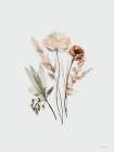 Chic Blooms Art Print