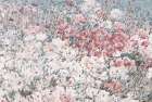 Flowering Fantasies Art Print