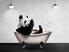 Panda Bath Art Print
