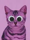 Purr-suit of Fun Art Print