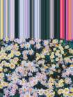 Floral Symmetry Art Print