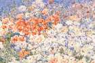 Flowering Fantasies Art Print