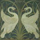 Graceful Pair Art Print