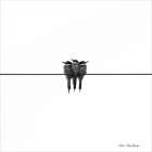  The Birds   - by Seven Trees Design | Penny Lane | Seven Trees Design