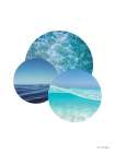 Plante Oceans Art Print by Seven Trees Design