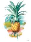 Pineapple I Art Print by Seven Trees Design