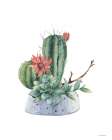 Watercolor Cactus Art Print by Seven Trees Design