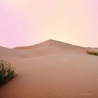The Calm Dune Art Print by Seven Trees Design