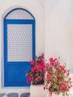 Santorini Door Art Print