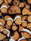 Wood Pile Art Print