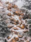 Winter Wood Pile Art Print by Seven Trees Design