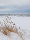 Peaceful Beach Art Print by Seven Trees Design
