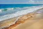 Rugged Shoreline I Art Print