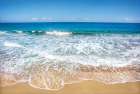Rugged Shoreline III Art Print
