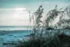 Turquoise Waters Art Print