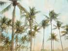 Sunrise Palms Art Print