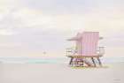 Pink Paradise Art Print
