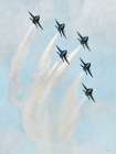 Ascending Six Art Print