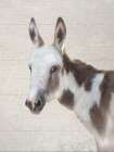 Walter the Donkey Art Deco Print