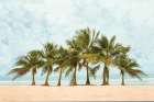 Playa Fortuna Art Print