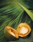 Palm And Coconut Art Print