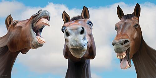 Hold Your Horses Art Print
