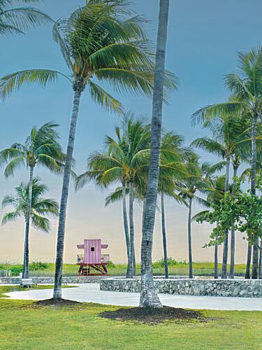 Pink Oasis Art Print