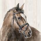 Horse Portrait Art Print