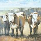 Bulls in the Field Art Print